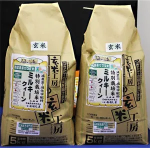 茨城県産ミルキークイーン(10kg)