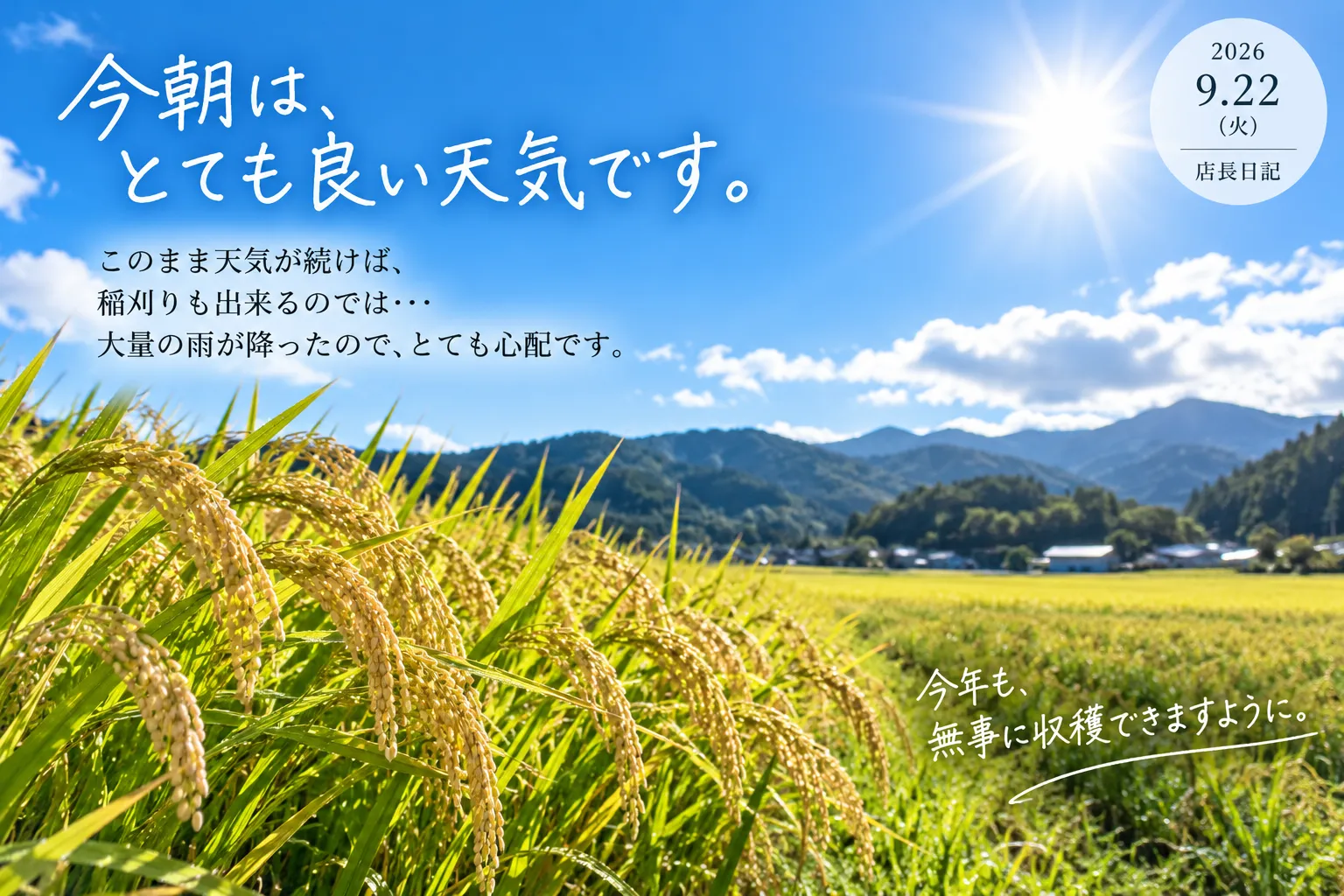 今朝は、とても良い天気です