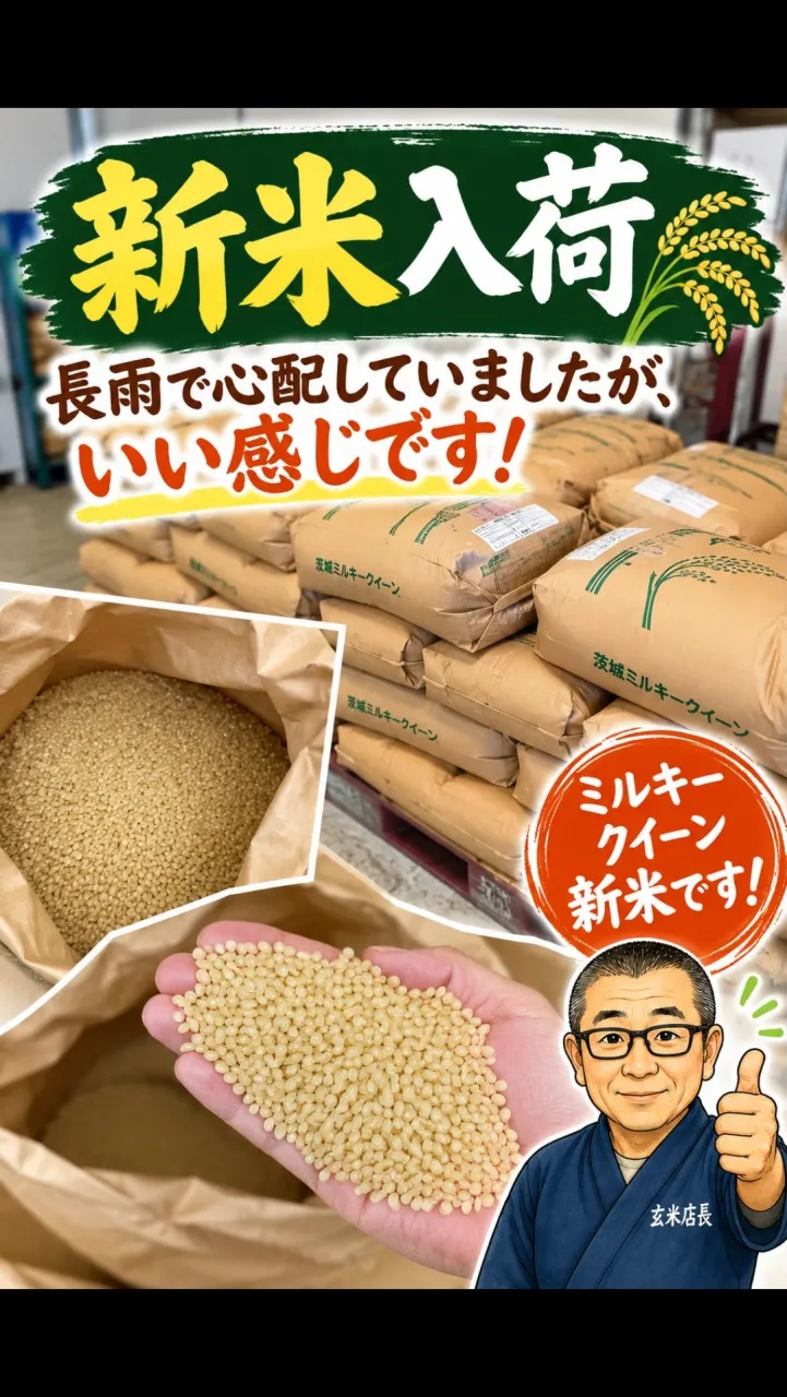 ずーっと雨が続いていたので、